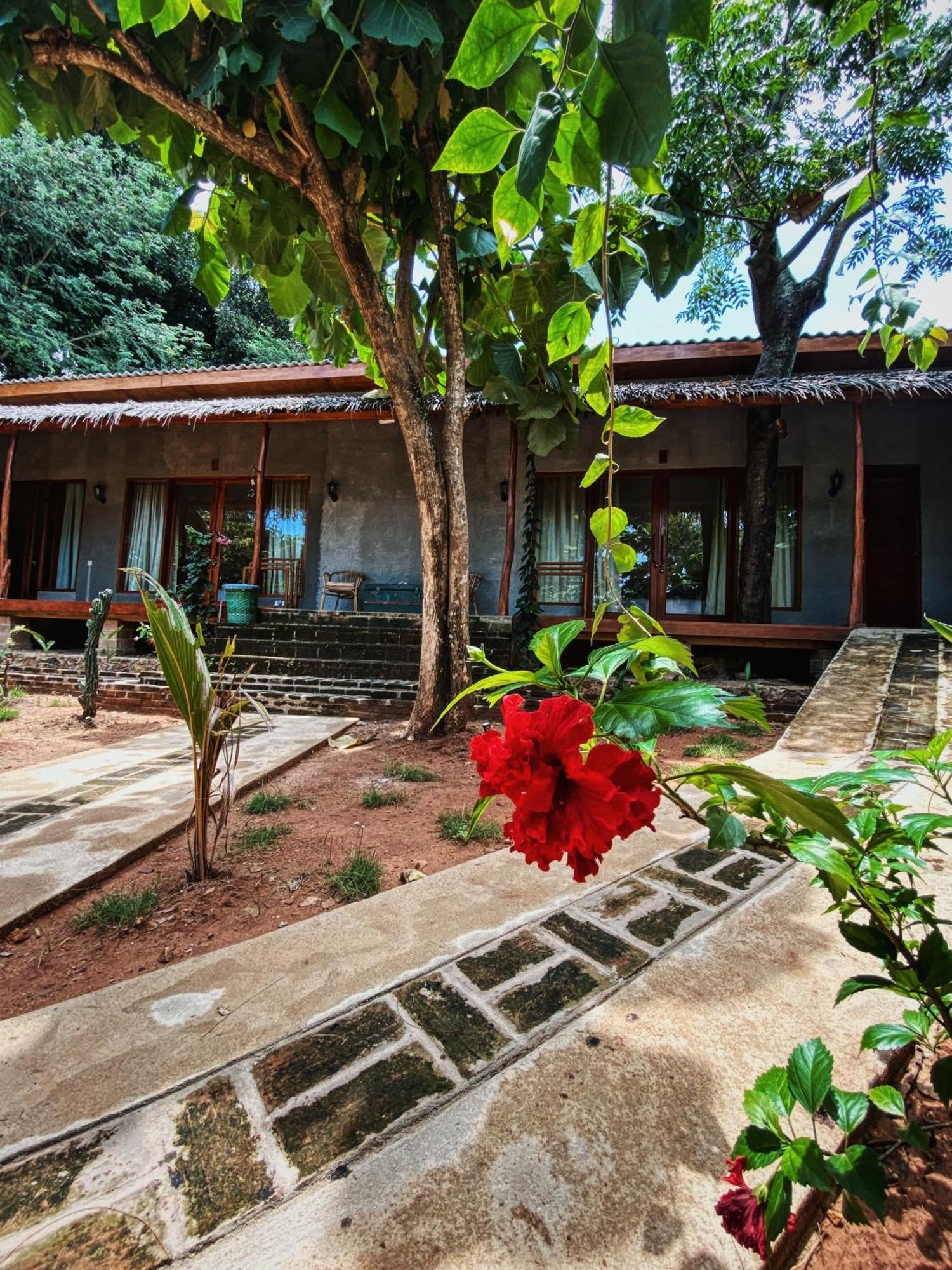 Basa-Basi Lodge Karimunjawa Exterior foto